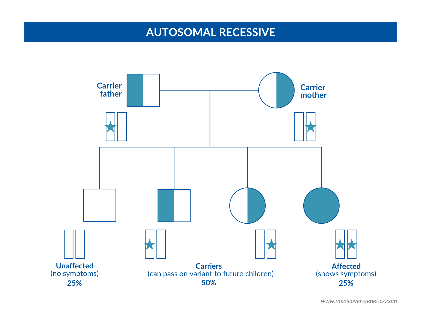 Autosomal Recessive Diseases transmission